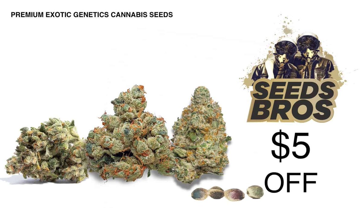 🚨🔥 Get your hands on premium Exotic Genetics Cannabis Seeds at Seeds Bros and SAVE $5 with coupon code saveon5! 💰🌿 Shop now at buff.ly/3U1sXfQ #cannabisseeds #savemoney #exoticgenetics 🛍️