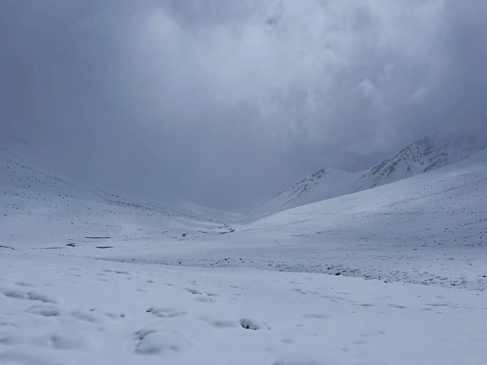 redcomunales's tweet photo. #Limari #RioHurtado Postales de la mañana del domingo en el sector cordillerano de Quebrada Amarilla donde cayó nieve en más de 10cm en algunos puntos https://t.co/IiOQ8tT45s