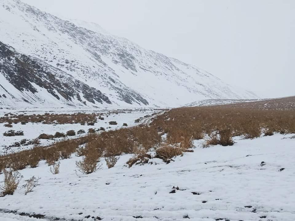 redcomunales's tweet photo. #Limari #RioHurtado Postales de la mañana del domingo en el sector cordillerano de Quebrada Amarilla donde cayó nieve en más de 10cm en algunos puntos https://t.co/IiOQ8tT45s