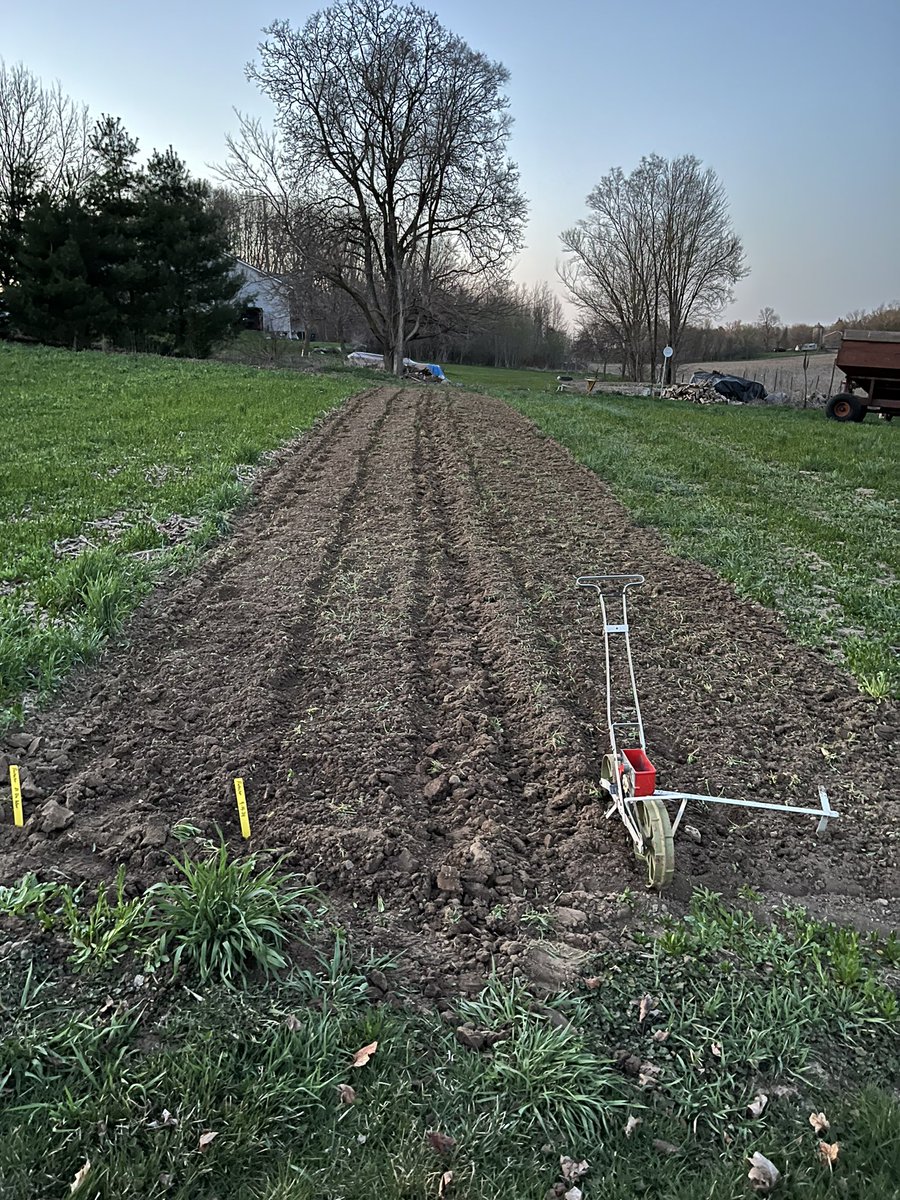 First 4 rows of sweet corn are in! Earliest I’ve gotten those in and easily the best conditions for an early planting. #plant24