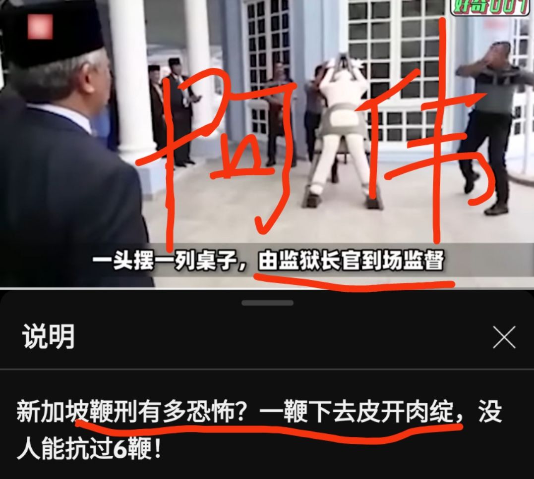 x.com/pb5gvQOdgdij83…
"欺哥怎么说,我就怎么做"
如此又喽又贱的跪舔
能不能520见到你龟爹时,先兑现一下你的牛逼,也让蚂蚁和伪类都高看你一眼
装逼新加坡农场主的阿伟(龚),就是拿酱色护照的装逼货,诈骗后自知难逃鞭刑,全家逃往美国,把钱全部孝敬给龟孙,然后碰瓷跪舔,指望黑户龟孙能给他办理全家政庇