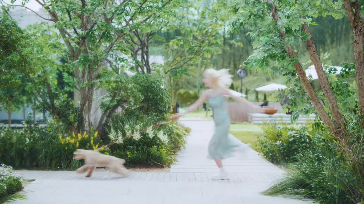 catrinabluu's tweet photo. A puppy being dragged by another puppy. 😭 https://t.co/684gwP6V5w