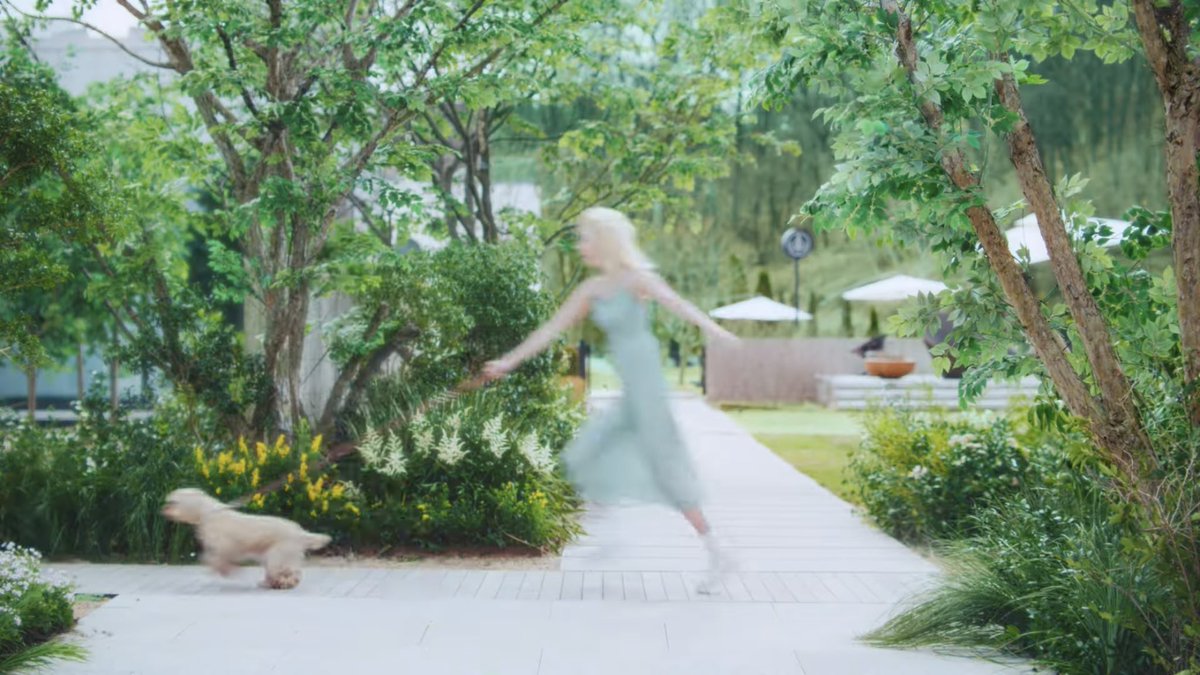 catrinabluu's tweet photo. A puppy being dragged by another puppy. 😭 https://t.co/684gwP6V5w