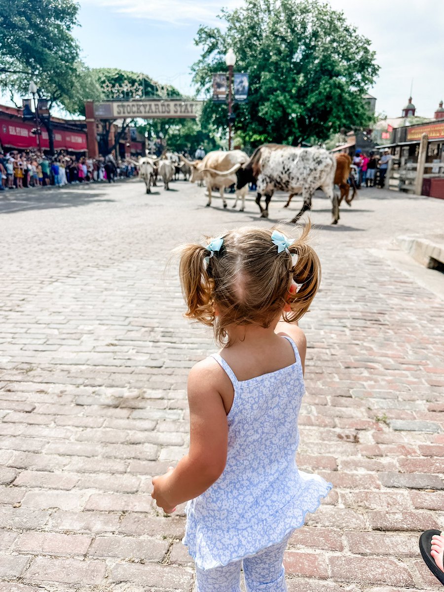 Not too sure about the Longhorns at first — but Ellie crushed her first afternoon on Main with some great friends & lots of sunshine!☀️ 
A Sunday well spent making memories! #blessed #ProudMama #ItsMyBackyard