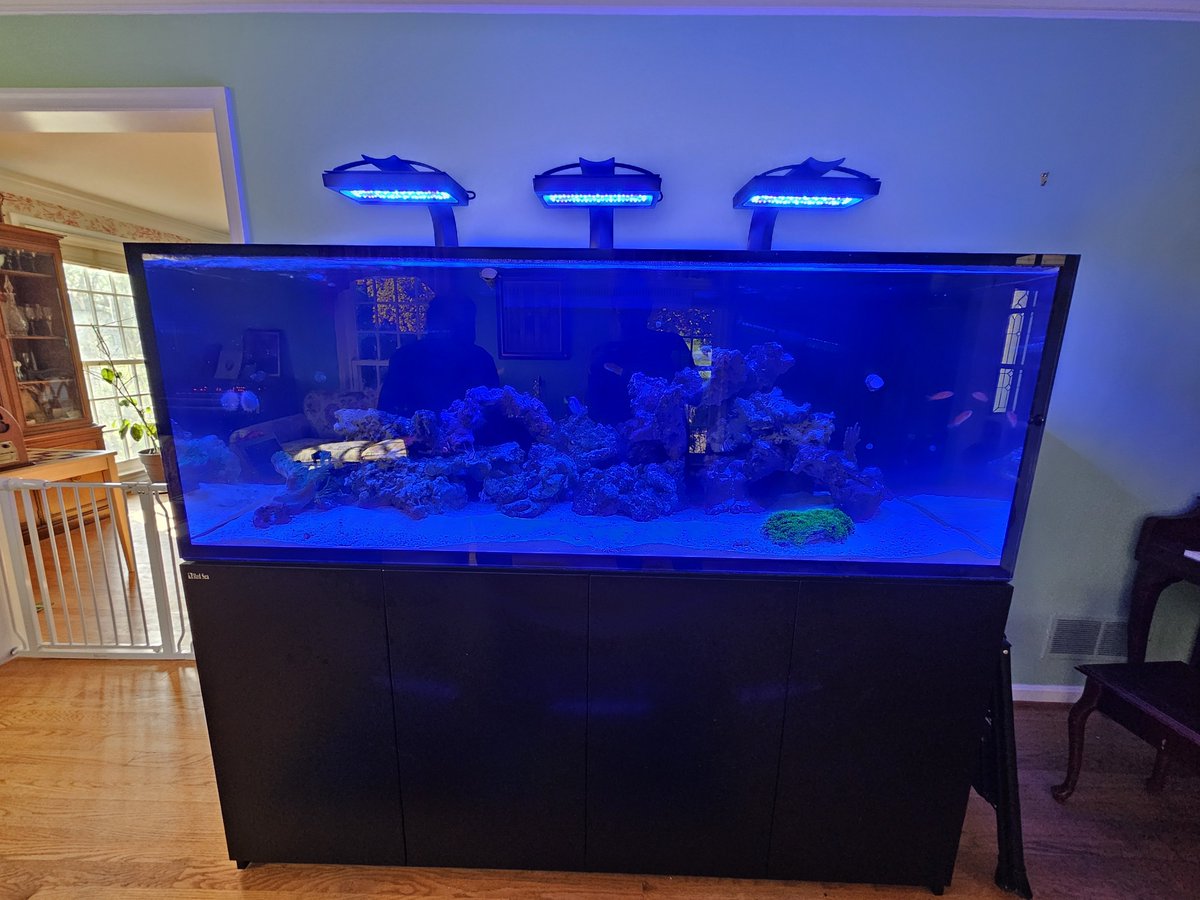 I promised I'd show you my dad's new massive saltwater aquarium for fish and coral