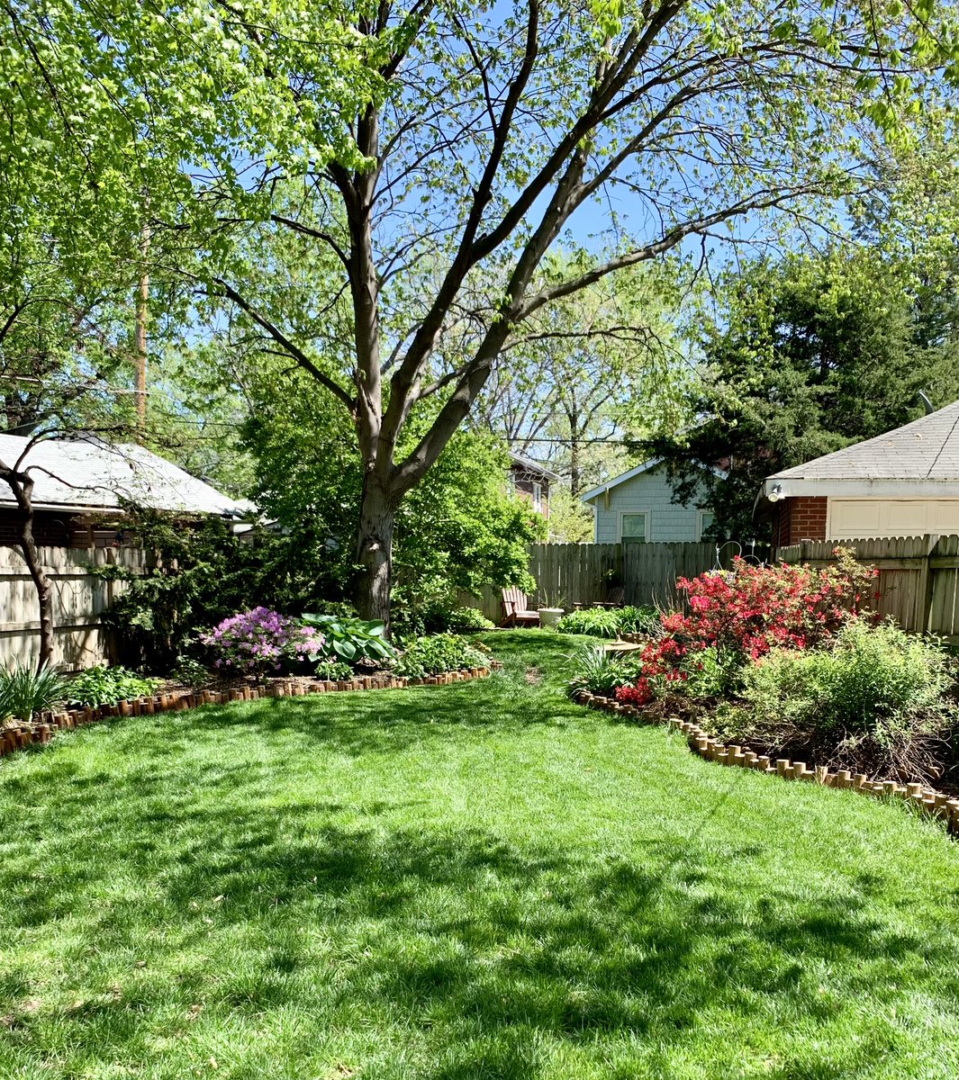 Every summer I work hard to have a beautiful yard. Life in suburbia! But these yards aren’t easy or even natural. I’m tired of the performance and ready for something more low key. #suburbia #greenlawn #grass #Spring2024