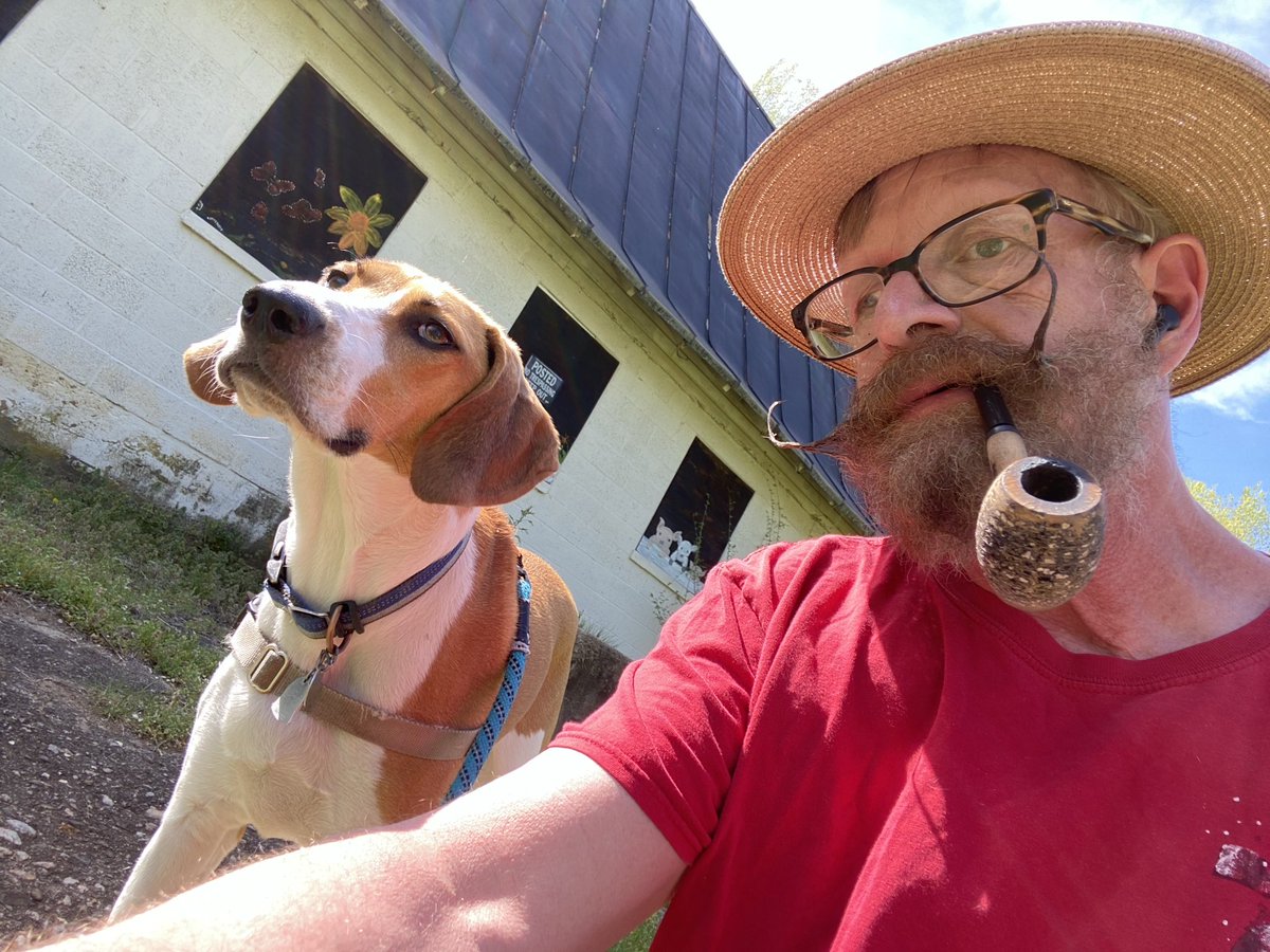 GKPipeGuy's tweet image. Out with the hound this weekend #pipesmoking #pipetobacco #foxhound #moustache