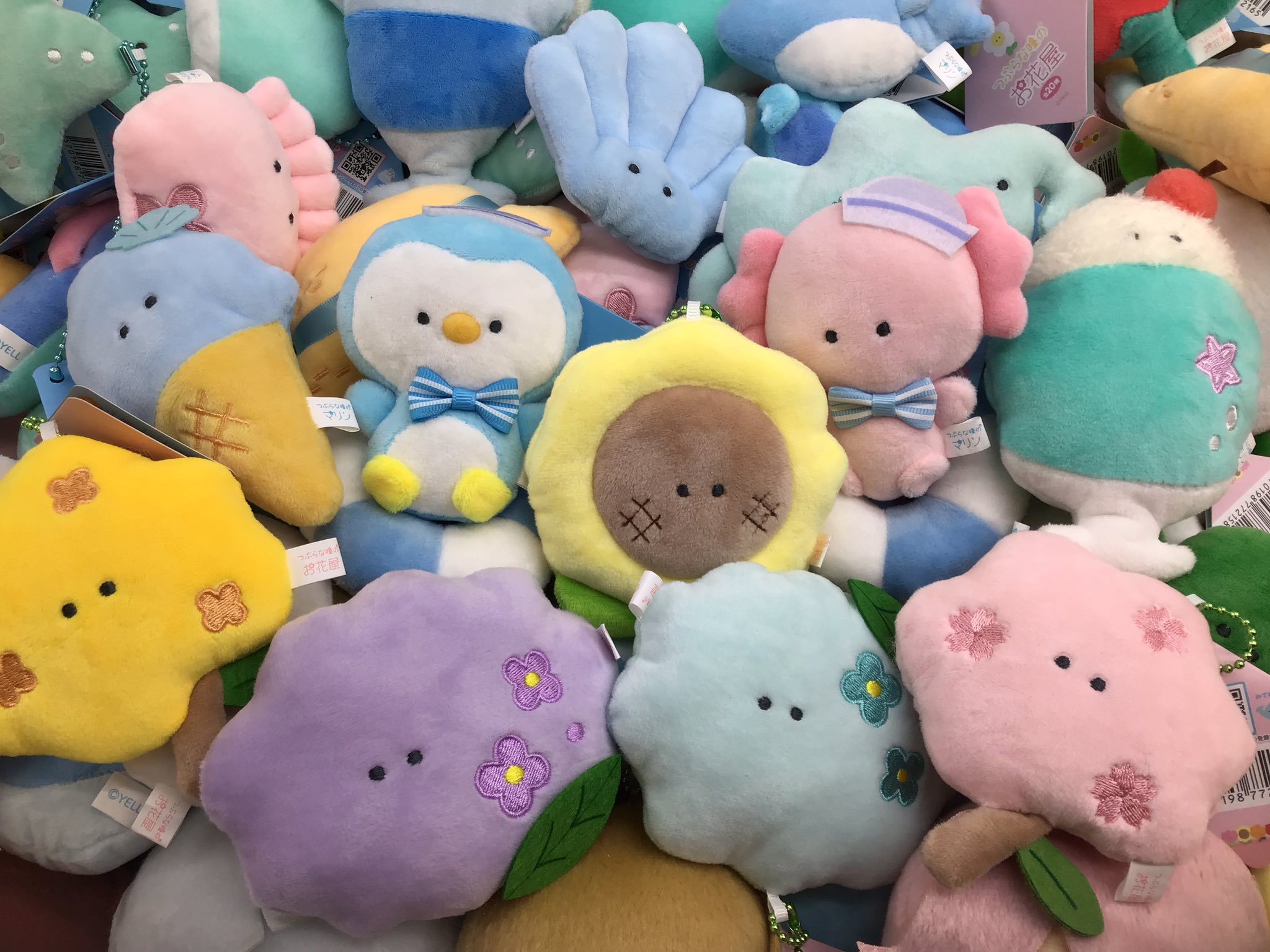 【即日発送】全20種フルコンプ／つぶらな瞳のお花屋 かたつむり　てんとうむしなど つぶらな瞳のお花屋 - Search / X