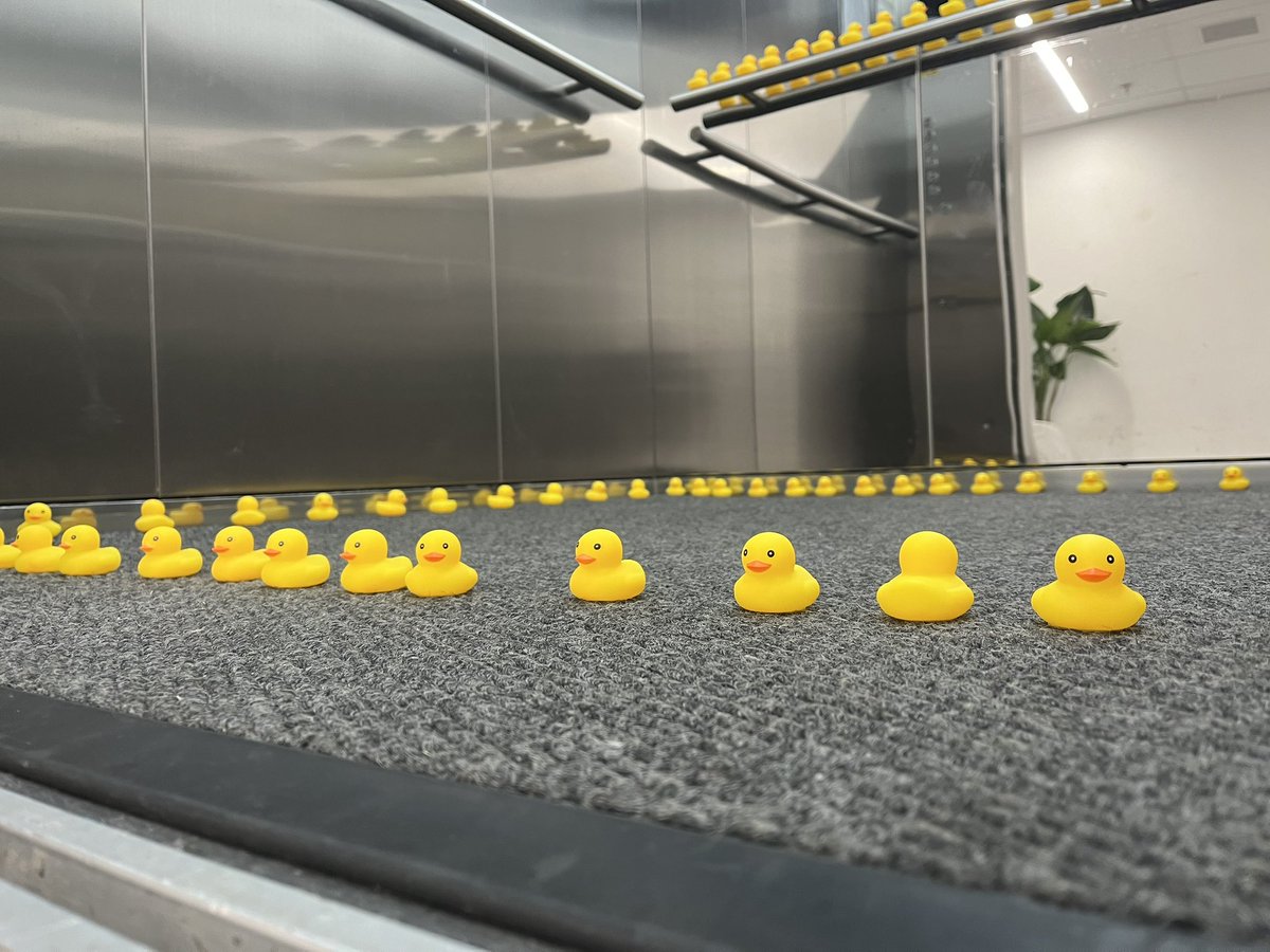ZachHpe's tweet image. Senior Prank Day at @AISGZ 
#AISGZaquatics #RubberDucky
