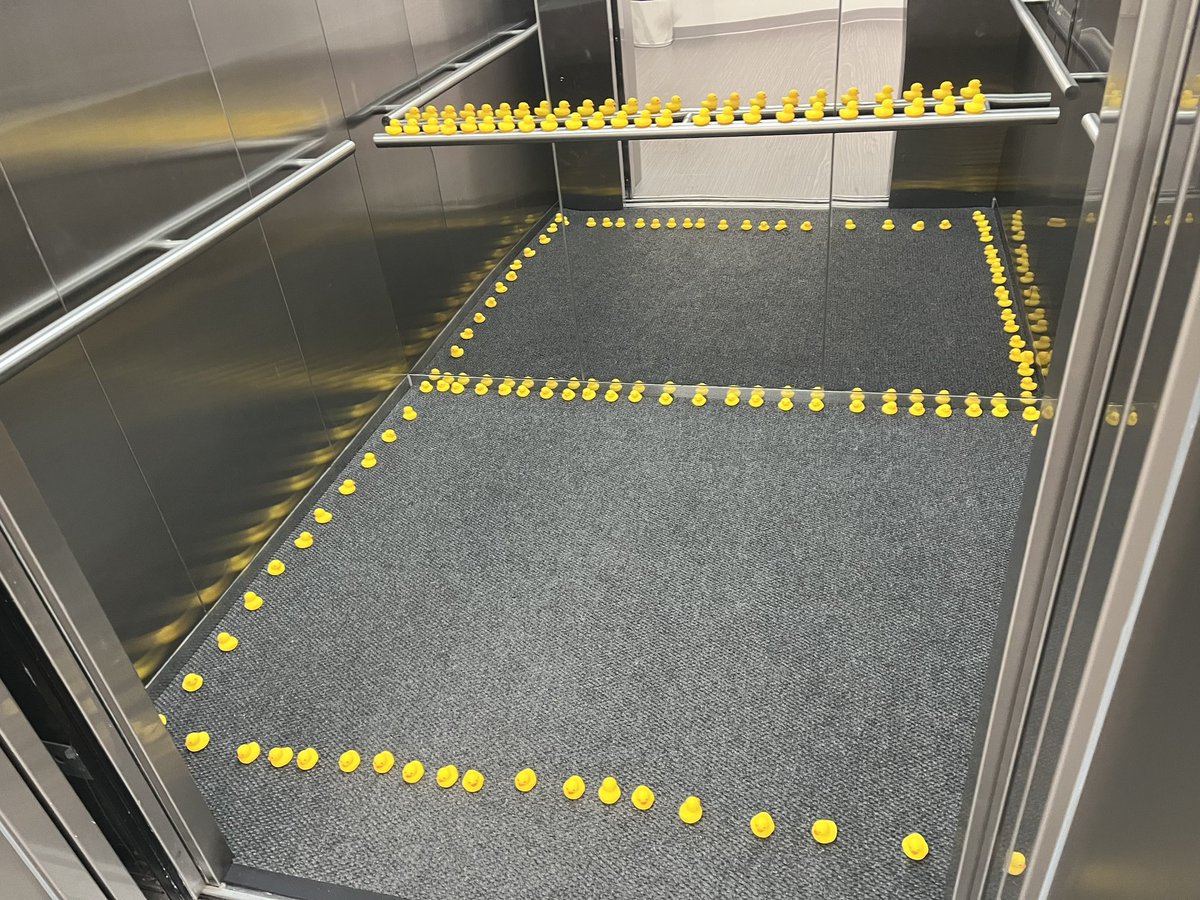 ZachHpe's tweet image. Senior Prank Day at @AISGZ 
#AISGZaquatics #RubberDucky