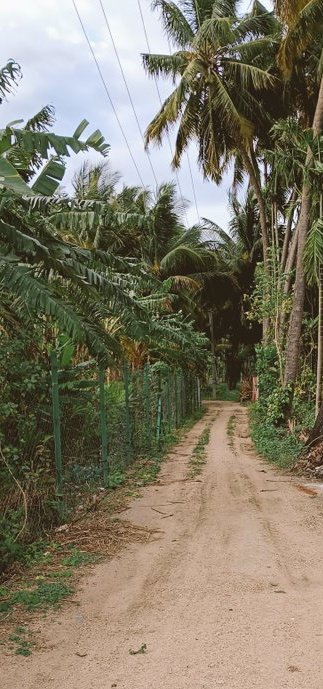 நாம் செல்ல வேண்டிய
பாதையைத் தொலைத்துவிட்டு 
தடுமாறும் போதெல்லாம்..

ஒரு புதிய பாதையைக் கண்டுபிடிக்கிறது கால்கள்..

நம்பிக்கையோடு பயணிப்போம்!

💐💐💐

காலை வணக்கம்!