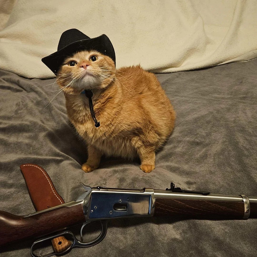 there's a new sheriff