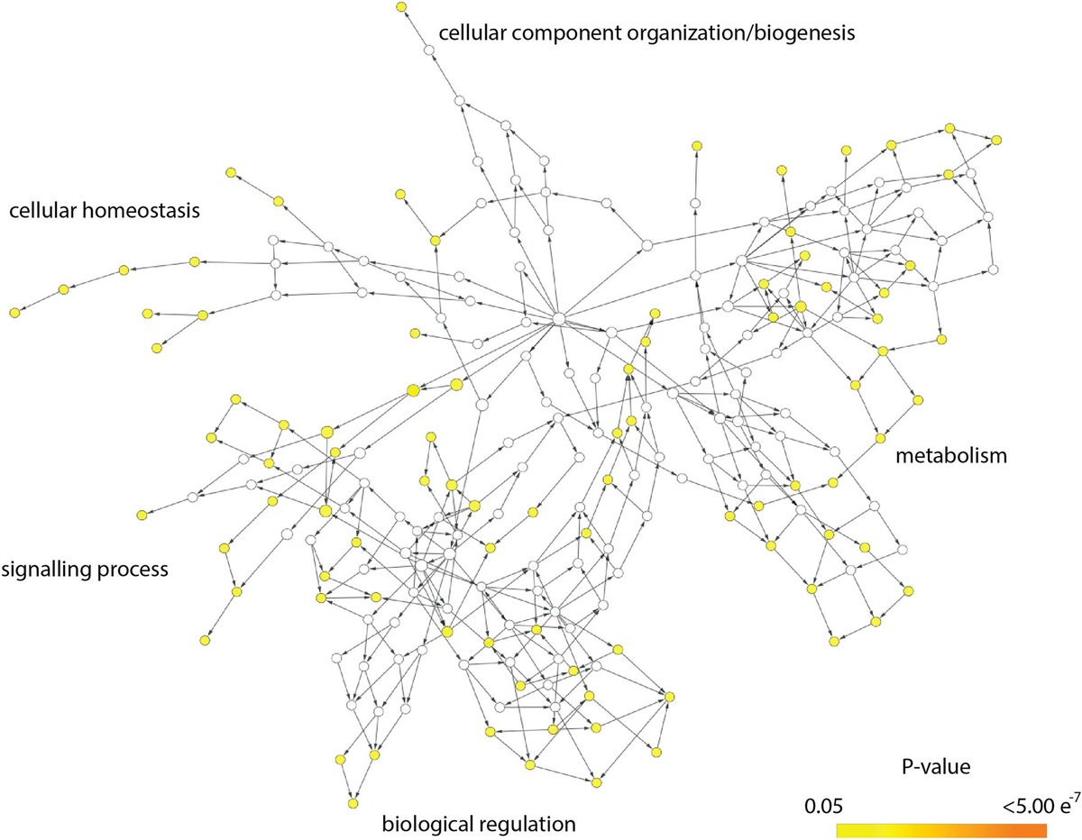 Experimental Marine Ecology Laboratory (@emel_nus) on Twitter photo 📢 New paper 📢 Led by <a href="/du_rosa/">Poquita-Du Rosa Celia</a> in <a href="/SpringerNature/">Springer Nature</a> in <a href="/SciReports/">Scientific Reports</a> identified genomic regions with SNPs that distinguish intertidal from subtidal Pocillopora acuta colonies and are associated with adaptations to extreme environment. 🪸🏖️ Well done Ross! 🌟
doi.org/10.1038/s41598… 📢 New paper 📢 Led by <a href="/du_rosa/">Poquita-Du Rosa Celia</a> in <a href="/SpringerNature/">Springer Nature</a> in <a href="/SciReports/">Scientific Reports</a> identified genomic regions with SNPs that distinguish intertidal from subtidal Pocillopora acuta colonies and are associated with adaptations to extreme environment. 🪸🏖️ Well done Ross! 🌟
doi.org/10.1038/s41598…