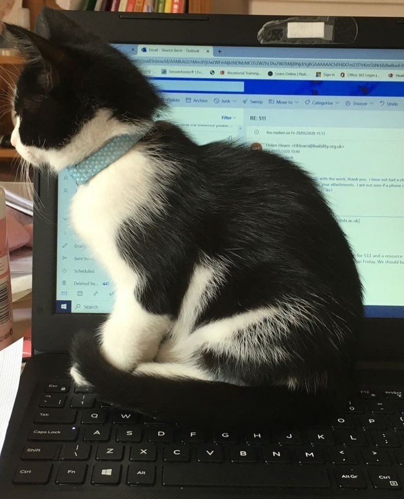 Ayuda, es domingo y estoy trabajando.
Manden pollito