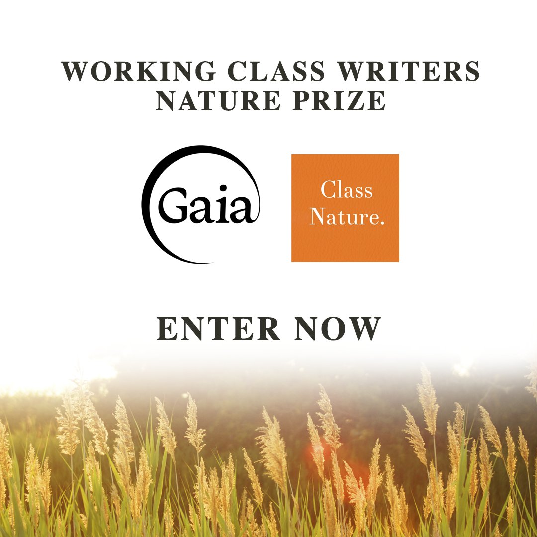 Calling all poets and aspiring writers! @ClassNature is looking for submissions for new and unpublished nature writers. Click below to find out how you can enter
brnw.ch/21wIOBl
