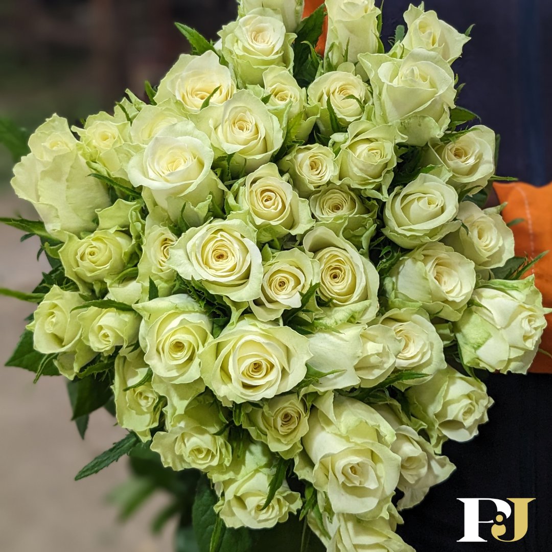 Starting the week on a serene note, surrounded by the timeless beauty of white flowers. Here's to a week filled with peace, productivity, and petals of promise.
Make your order through marketing@pjdave.com or Call/WhatsApp +254 787 635 491
#MondayBliss #picoftheday #pjdaveflowers