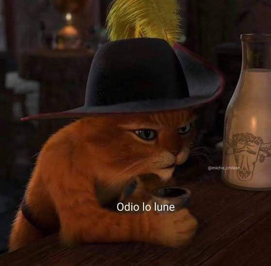 no me llamo vicenta tweet media