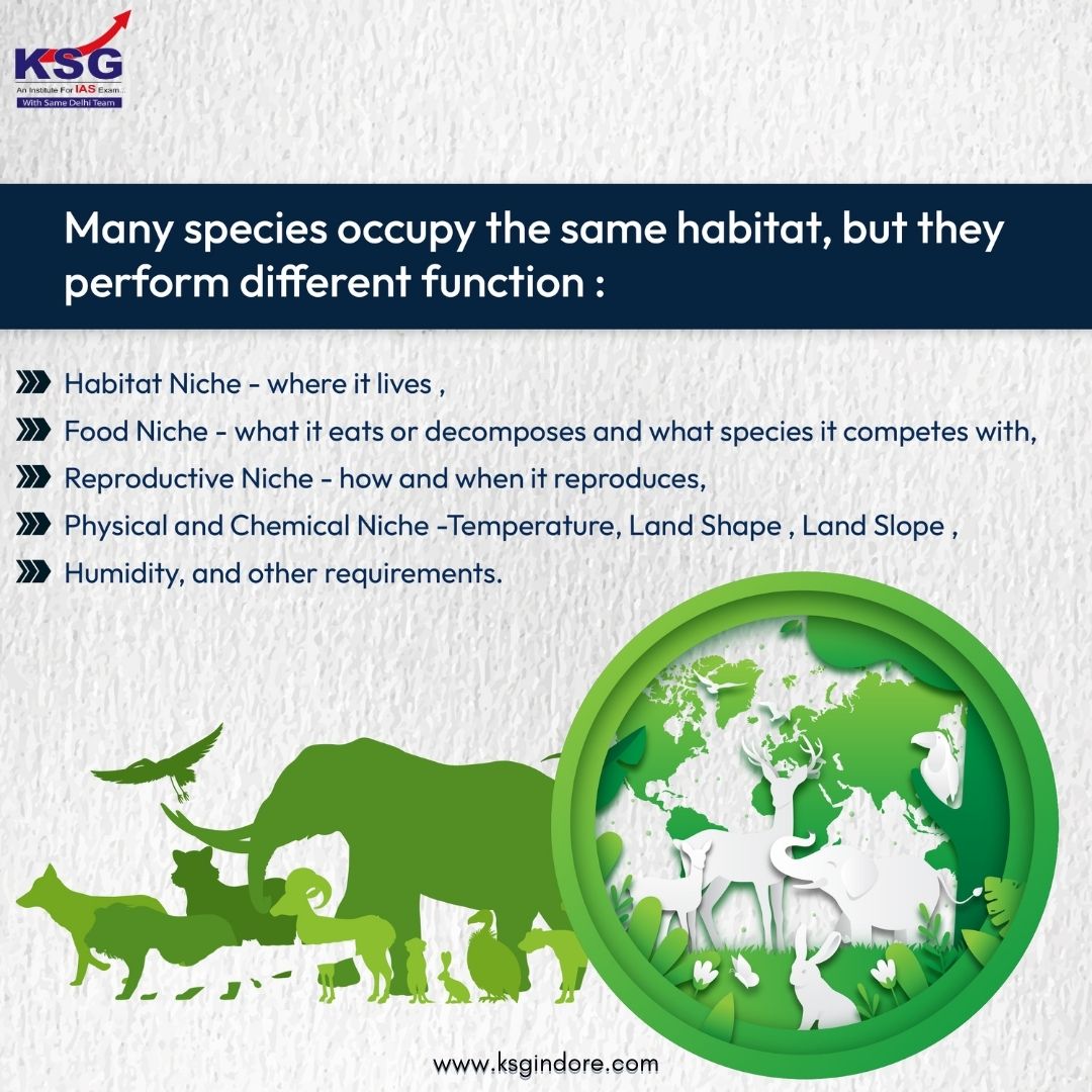 🔴 Ecological Niche

🔸 Unique functional role and position of a species in its habitat or ecosystem [UPSC 2013]

#KSGIndore #UPSCPreparation #BestIASCoaching #TopIASCoaching #EcologicalNiche #FunctionalRole #species #ecosystem #niche #FoodNiche #ReproductiveNiche