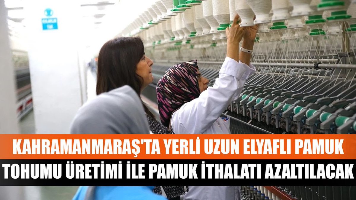 Türkiye'nin önemli tekstil üretim merkezlerinden Kahramanmaraş'ta Nazar Tekstilin ürettiği yerli uzun elyaflı pamuk tohumu sayesinde pamuk ithalatının azaltılması hedefleniyor.