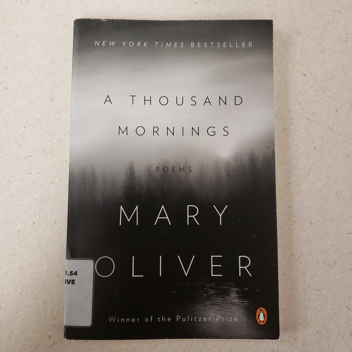 Alene_Sen's tweet photo. I am reading. . .

#amreading #NationalPoetryMonth #supportlibraries https://t.co/UiDhO3ro2x