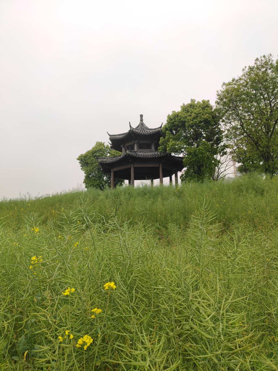 GermC06908789's tweet image. 🚶‍♀️🚶🏻‍♂️放下烦恼，我们去散步吧！The sky is clear, the sun is shining perfectly, and every step in the park is in rhythm with spring. 🌸((☀️⥎☀️))🌸Let go of worries, let's go for a walk! #GoodWeather #ParkWalk#好天气 #公园漫步 ＃互关 #springtime #Flowers