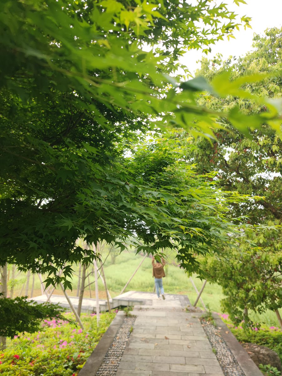 GermC06908789's tweet image. 🚶‍♀️🚶🏻‍♂️放下烦恼，我们去散步吧！The sky is clear, the sun is shining perfectly, and every step in the park is in rhythm with spring. 🌸((☀️⥎☀️))🌸Let go of worries, let's go for a walk! #GoodWeather #ParkWalk#好天气 #公园漫步 ＃互关 #springtime #Flowers