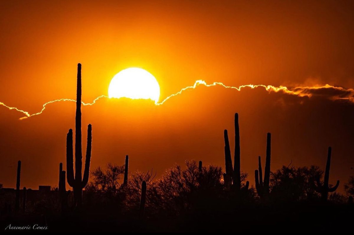 Wishing you a fantastic new week! Temperatures here in #Mesa will begin to heat up (90’s) starting Tuesday/Wednesday. Stay hydrated and stay in the AC when you can mid day. #newweek #Arizona #April