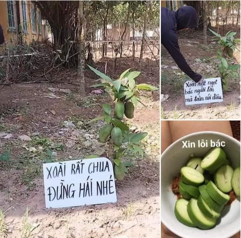 Hằng tweet media