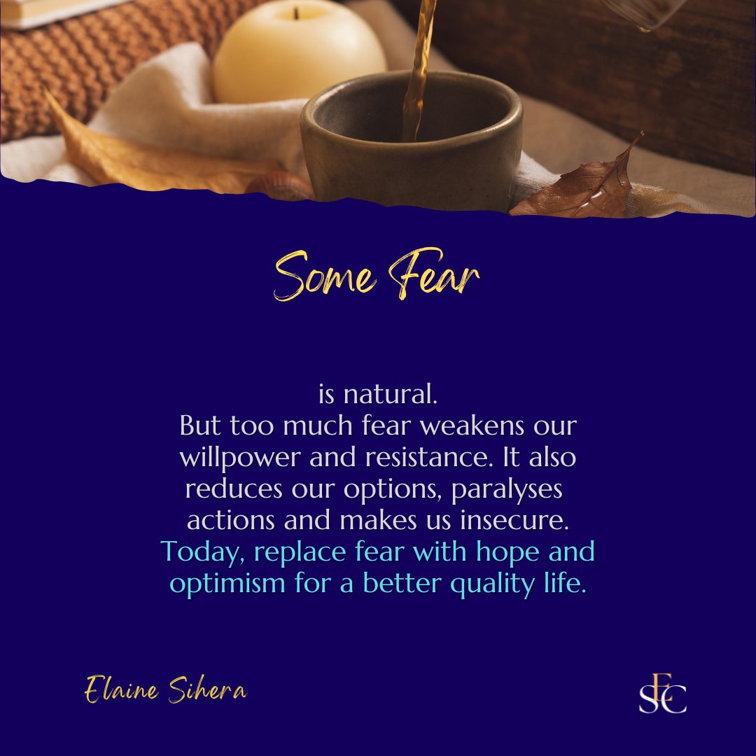 Elaine's Insights 💙 A Different Voice tweet media