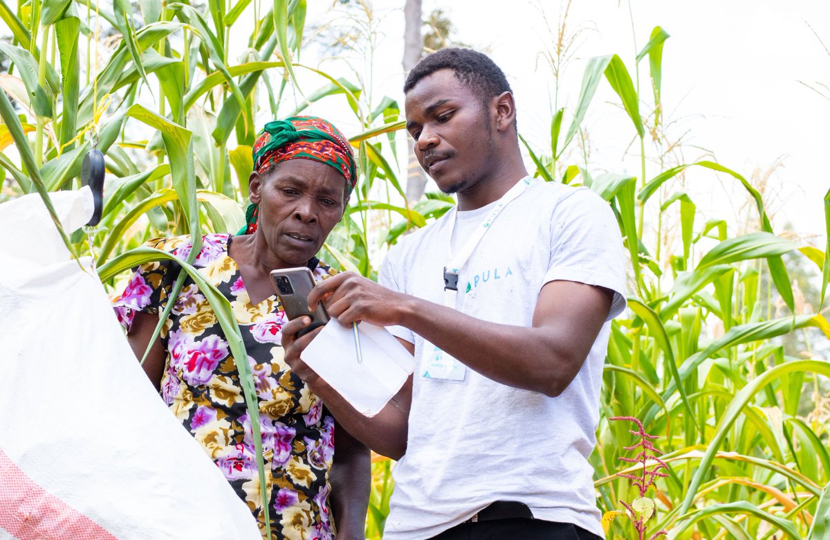 #Pula's $20M Series B to boost #agriculturalinsurance, targeting 100M #smallholderfarmers with #climateinsurance. #Insurtech growth milestone.