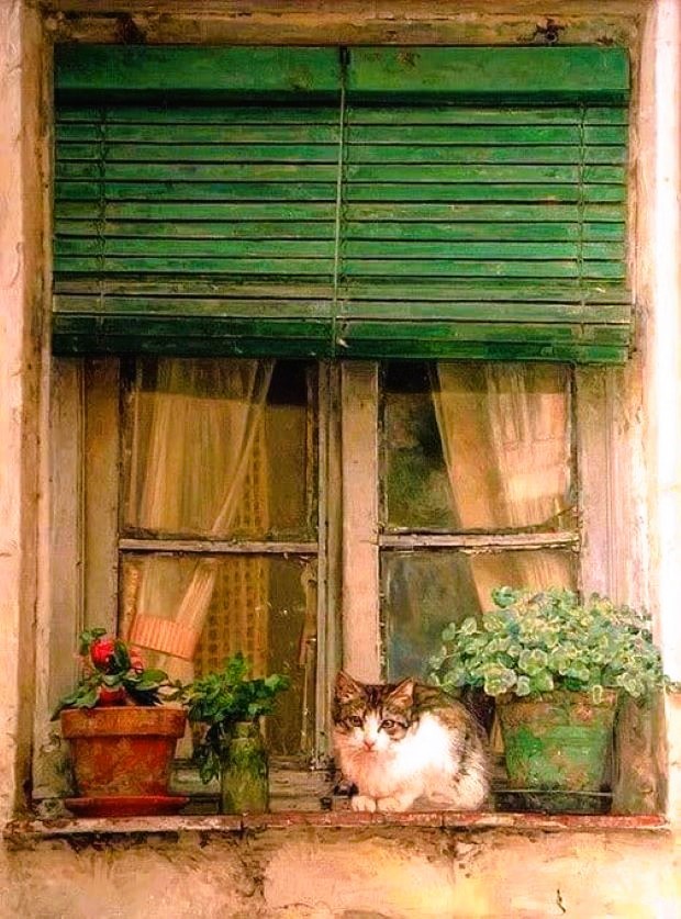 Günaydın, güzel bir hafta olsun. 🎈☕️🐱

🎨by Antonio Guzmán Capel
#painting