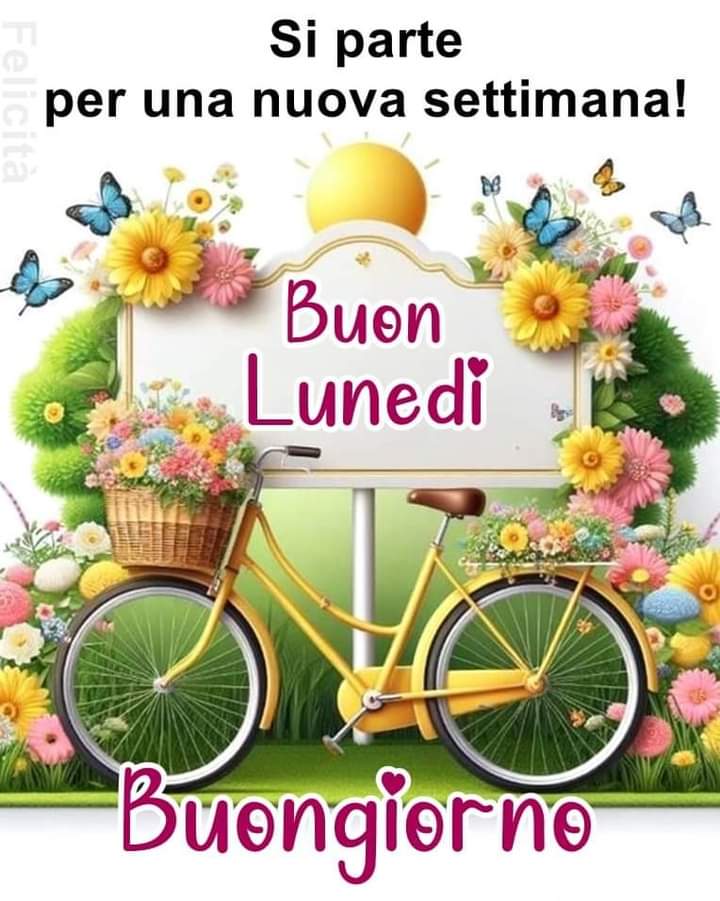 👋 Amici twitterosi, ricordate di indossare un sorriso e togliete gli occhiali grigi, non fanno miracoli ma aiutano🥰🍀