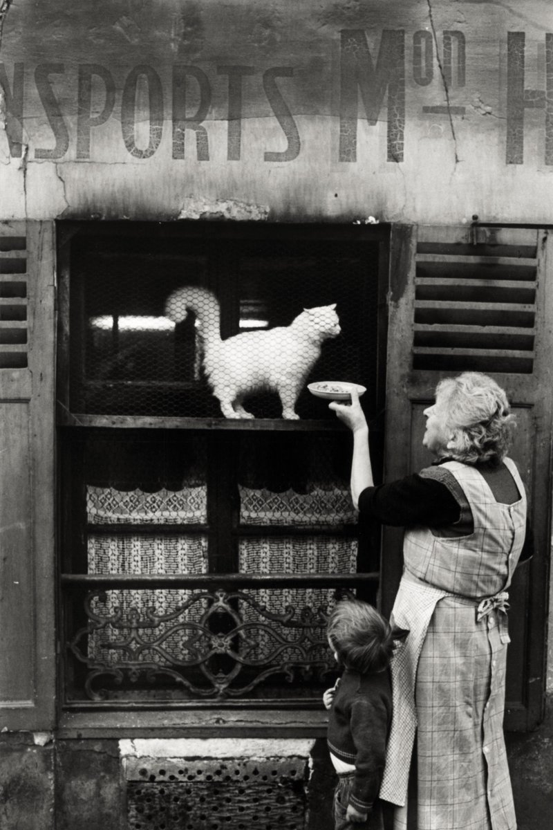 The cat's lunch, Paris, 1950s - by Georg Stefan Troller (1921), Austrian