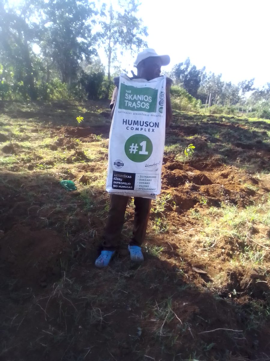 AYEDOSGROUPLTD's tweet photo. #avocado #farming is a lucrative business that is growing in popularity. It is a healthy fruit, and can be sold for a good price at the market. Avocado trees take about 3-5 years to produce their first crop of avocados.
#HUMUSONKenya #humusoncomplex https://t.co/98bZzfZFan