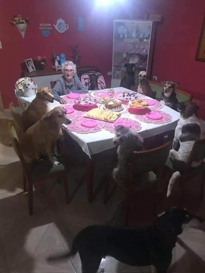 She is 92 years old celebrating her birthday witg her dogs 🎉🎁