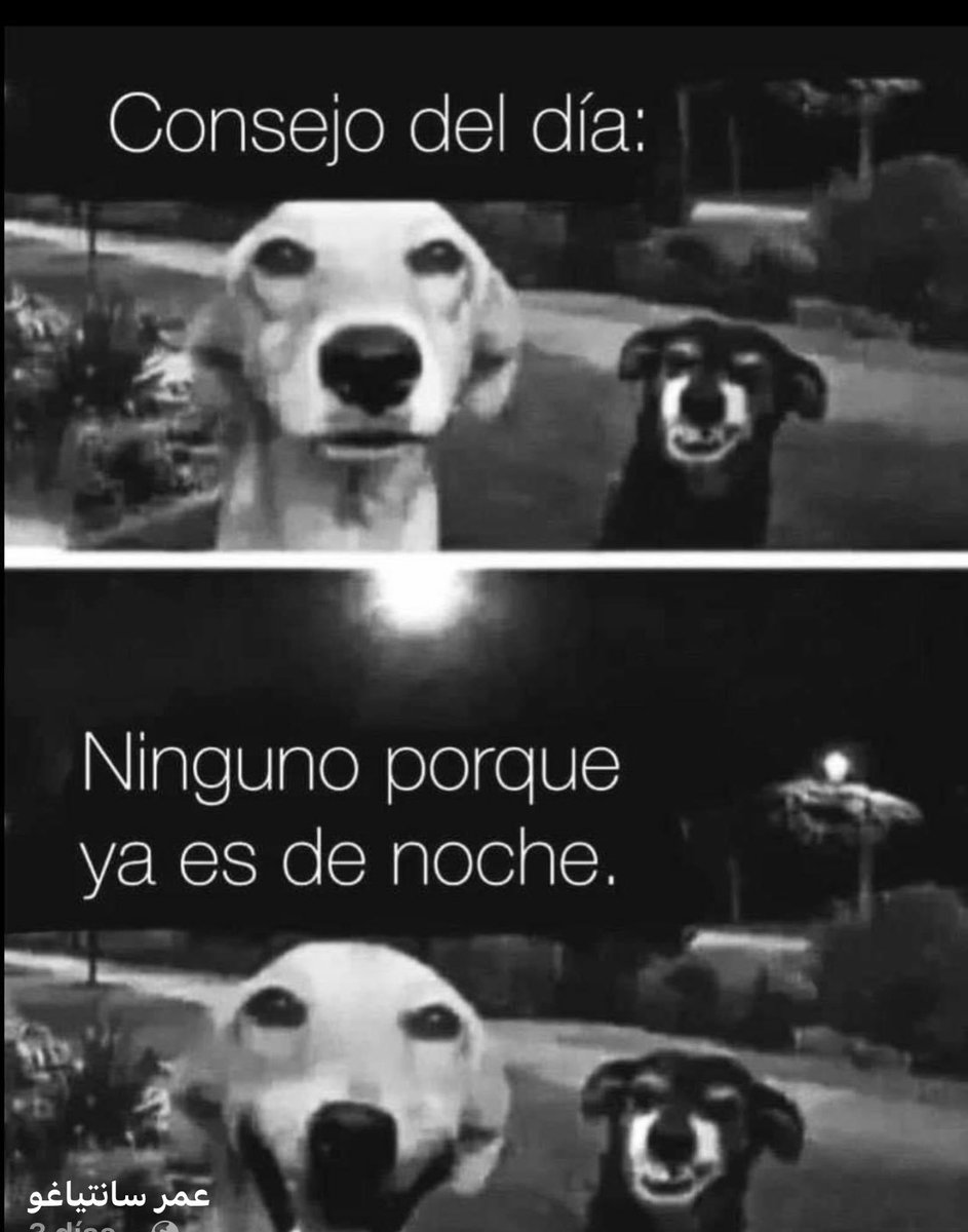 💤😴💤💤😴💤😴