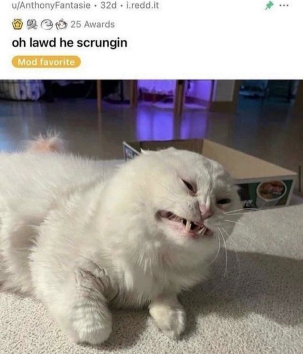 10/10 scrunge