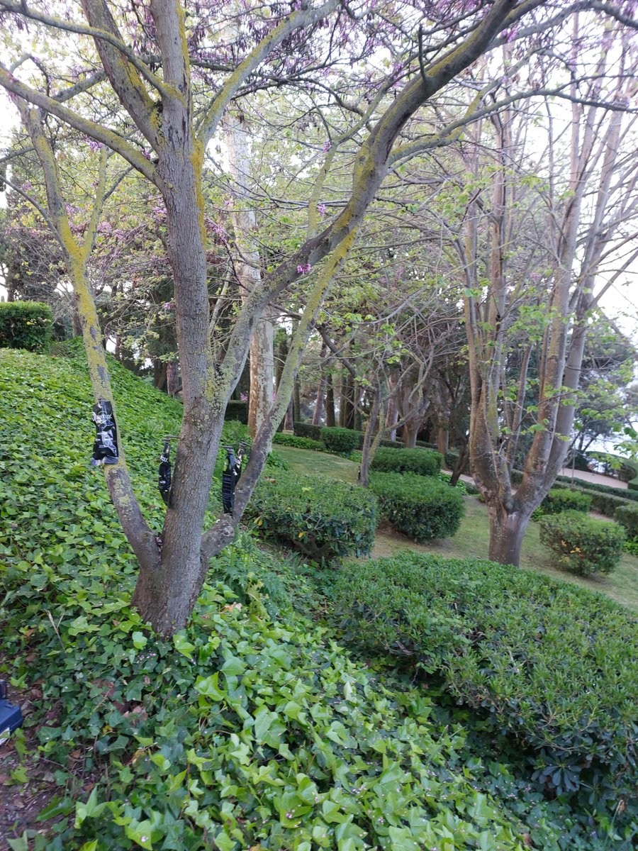 AgroSALVI,S.L. tweet media