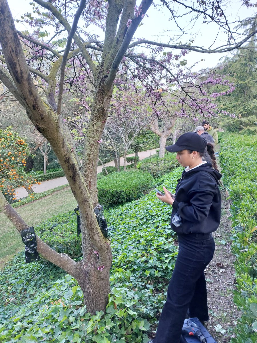 AgroSALVI,S.L. tweet media