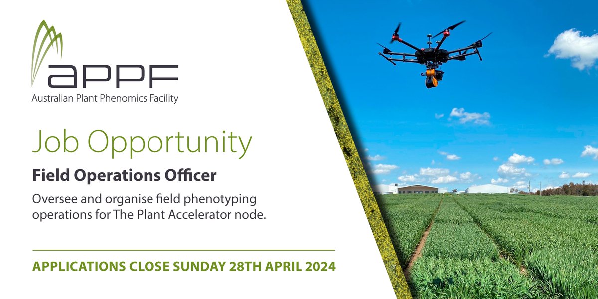 JOB OPPORTUNITY: Join the Adelaide team at the Plant Accelerator as a Field Operations Officer. You will oversee and organise field phenotyping operations for The Plant Accelerator node. Applications close Sunday 28th April 2024. Apply at: careers.adelaide.edu.au/cw/en/job/5133…