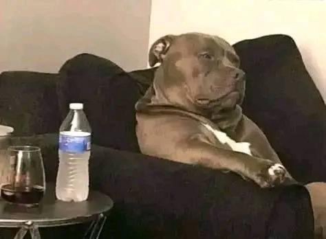 Them : Marriage is a a good thing you should marry it brings happiness 

 Married Men  at Home😂🙌🙆