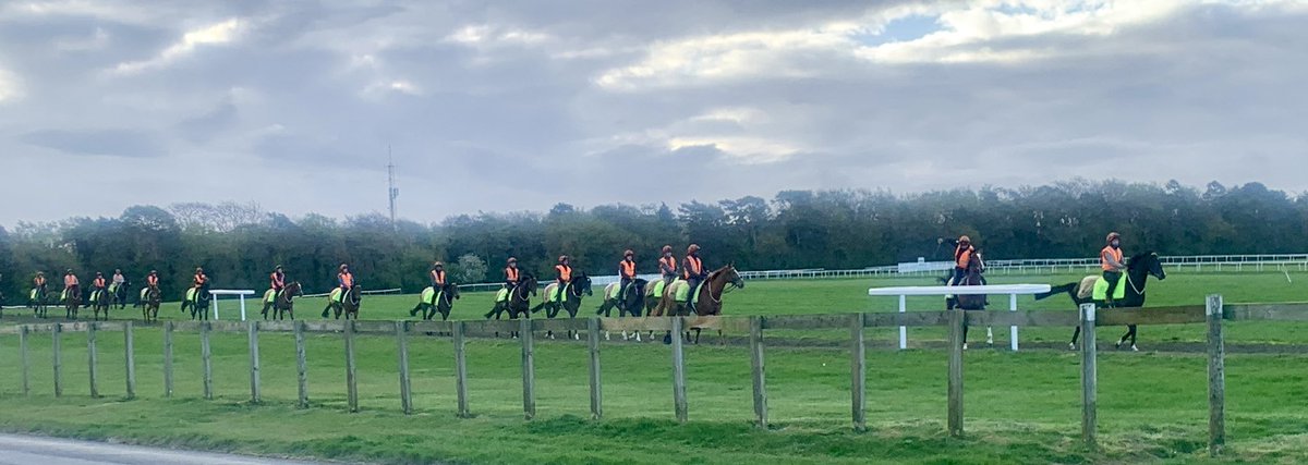 Can’t beat an early morning on Warren Hill Newmarket. 🏇🏿
