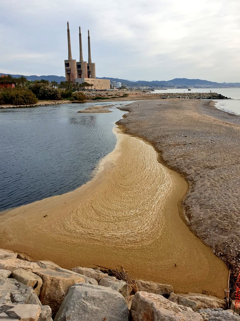 LaMareaVerdeSAB's tweet photo. Desembocadura del Besòs ahora mismo 🤬😤🤯
Esto es un #Ecocidio permitido por todos, empezando por la @aigua_cat que da las licencias de vertidos a un ecosistema "protegido" ¡Pobre fauna! 
EL RÍO NO SE VENDE. EL RÍO SE DEFIENDE. 
#ClasismoFluvial #ElríodelosPobres #DeltaMuerto https://t.co/vg3dYHW9R3