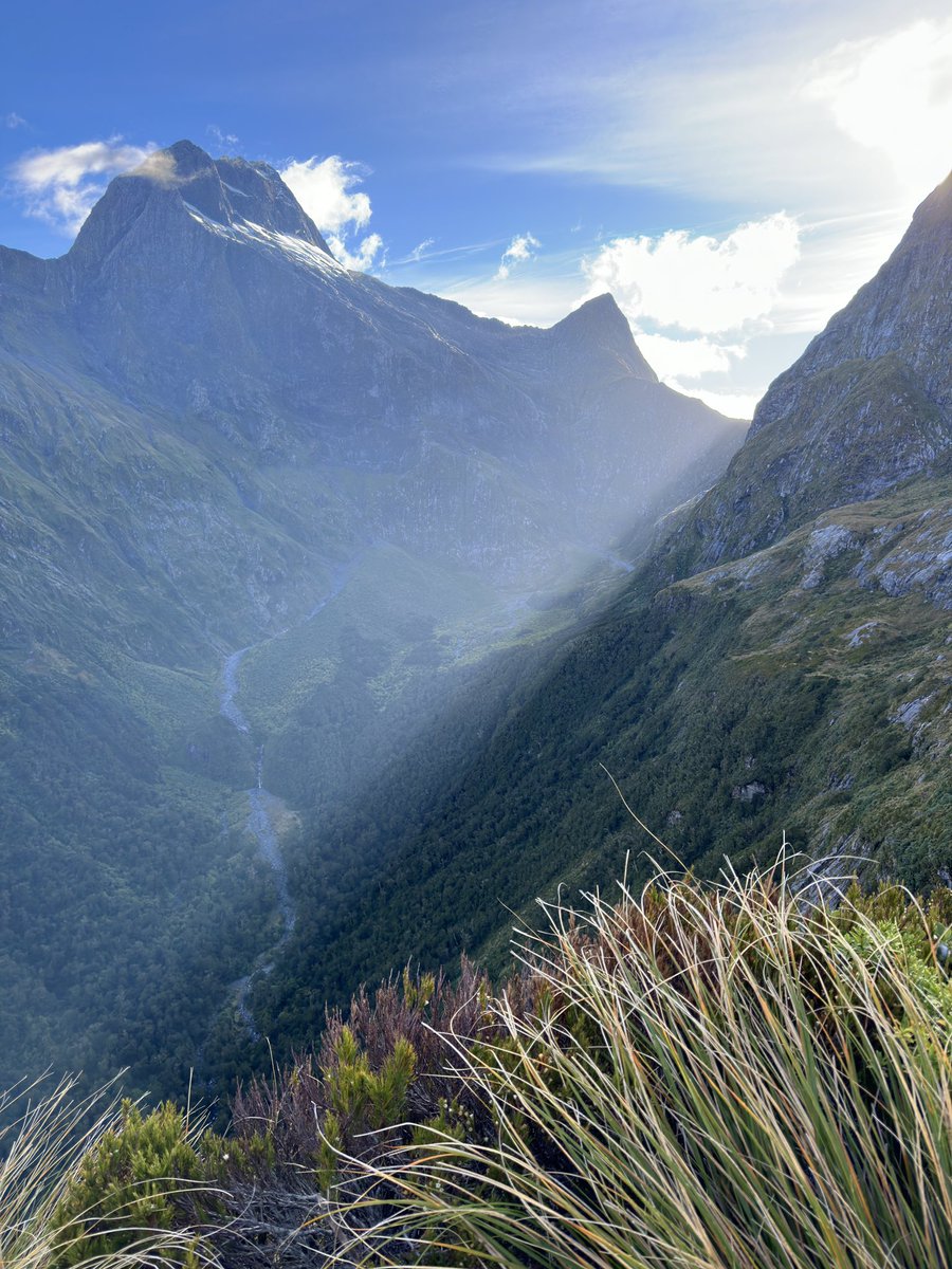 RNMPro's tweet image. 