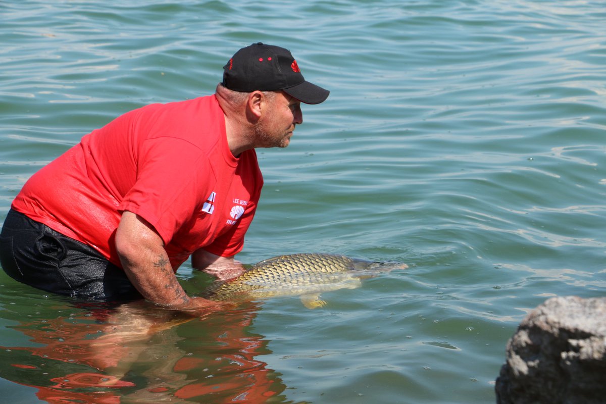 Spomb Consultancy Limited 🚀 tweet media