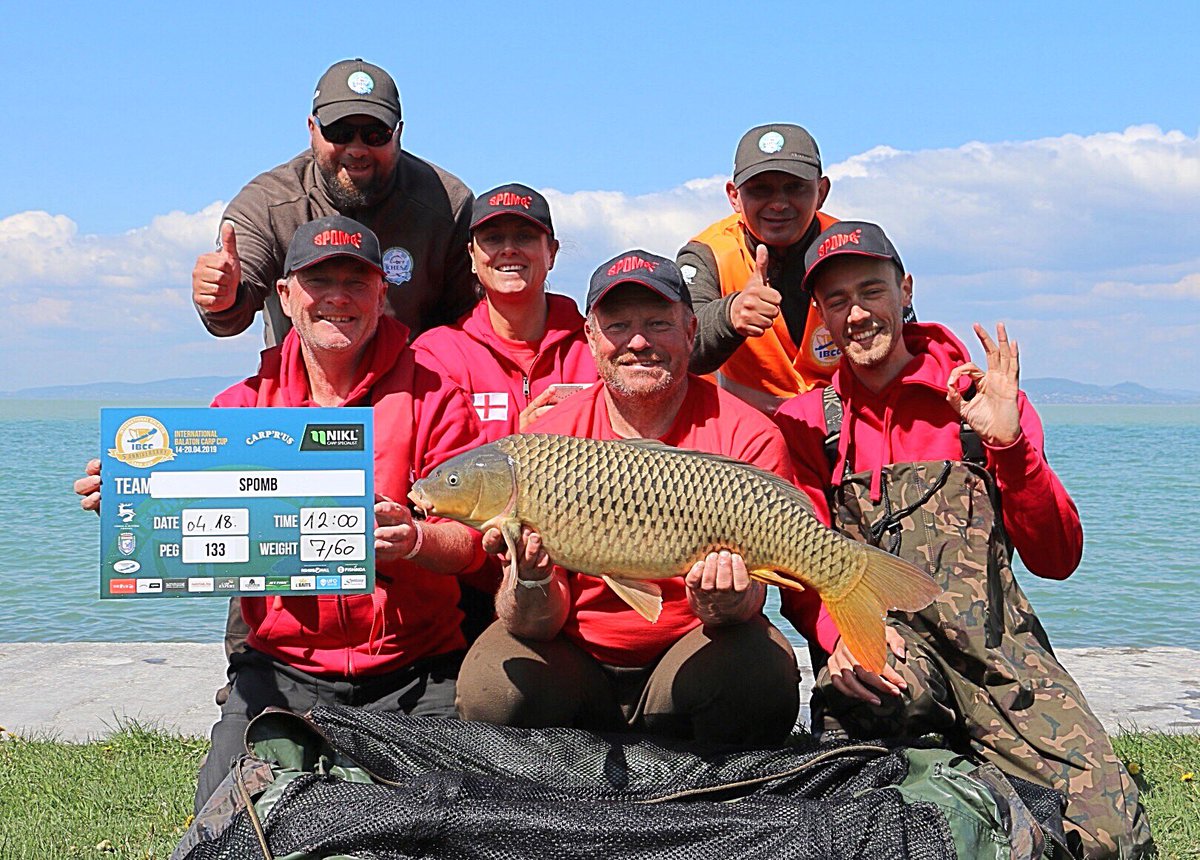 Spomb Consultancy Limited 🚀 tweet media