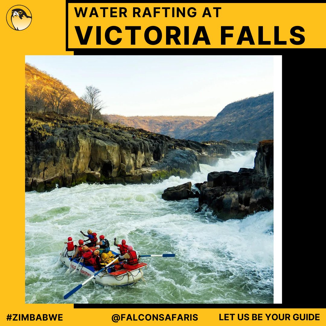 For all the adrenaline seekers out there and those hungry for adventure have you ever tried White Water Rafting Victoria Falls?

Know more about this Activity, Read our Blog @ falconsafaris.com/blog/victoria-…

#falconsafaris #safariphotography #visitzimbabwe  #rafting #whitewaterrafting