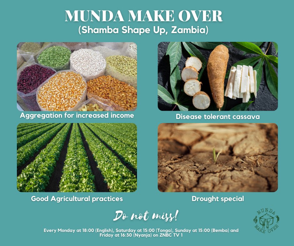 This week on Munda Make Over in #Zambia, we feature topics on aggregation for increased income, a focus on disease tolerant cassava, good farming practices and a special on the current dry season. Do not miss!