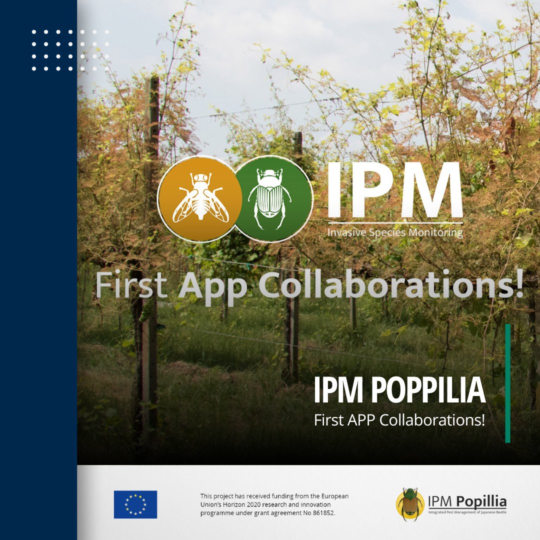 We are happy to welcome the @REACT_insect as the first official co-creation partner in @IPMPopillia🤝 Are you involved in a monitoring project for invasive or controlled pest species? Join our network🔗 popillia.eu/blog/emerging-… #metosbypessl #IPMPopillia