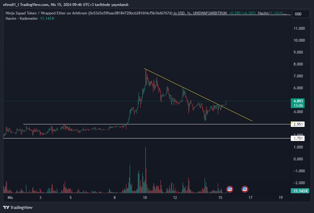 "Ninja Season"
The show is just starting 
$NST